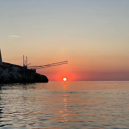 Πανσιόν Vieste Suite